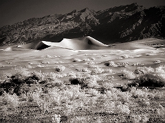 Death Valley Dunes Death Valley, CA  Dave Hickey